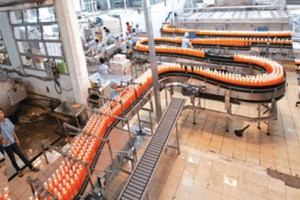 Cung cấp biên phiên dịch dự án Công ty TNHH Tân Quang Minh
